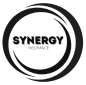 https://www.straxovka.cz/wp-content/uploads/2024/01/logo-synergy-1.png